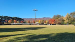 Soccer Field image 1