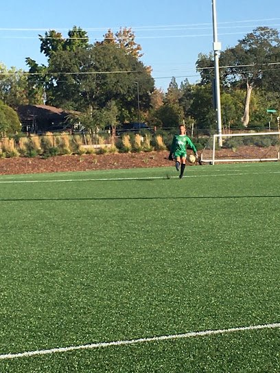 Soccer Field image 1