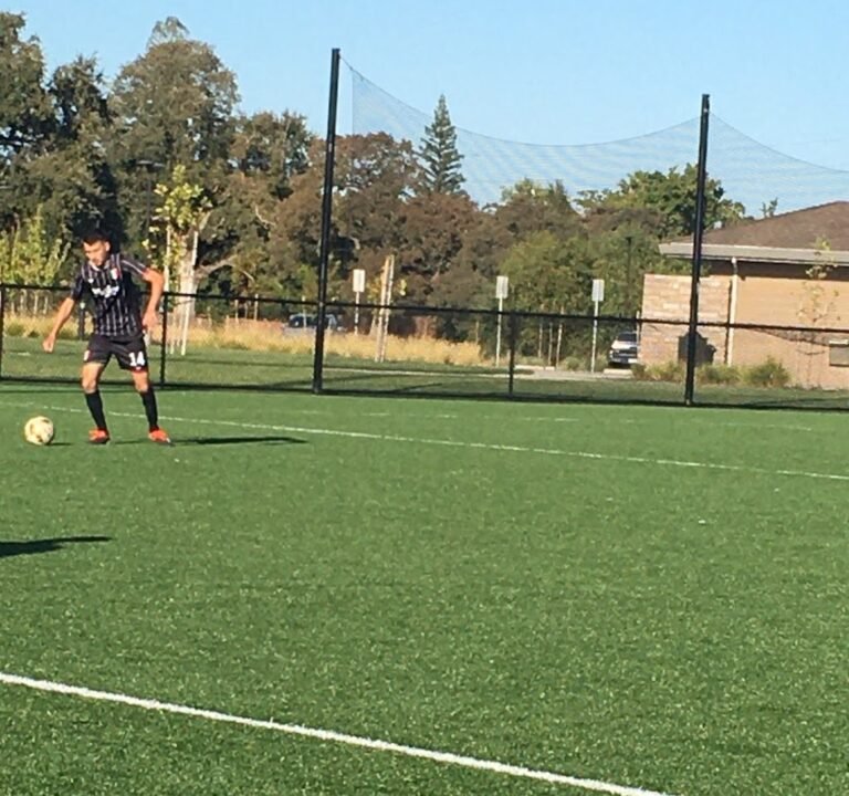 Soccer Field image 2