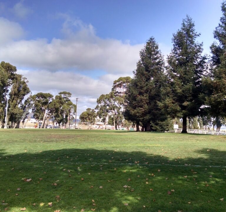 Soccer Field image 2