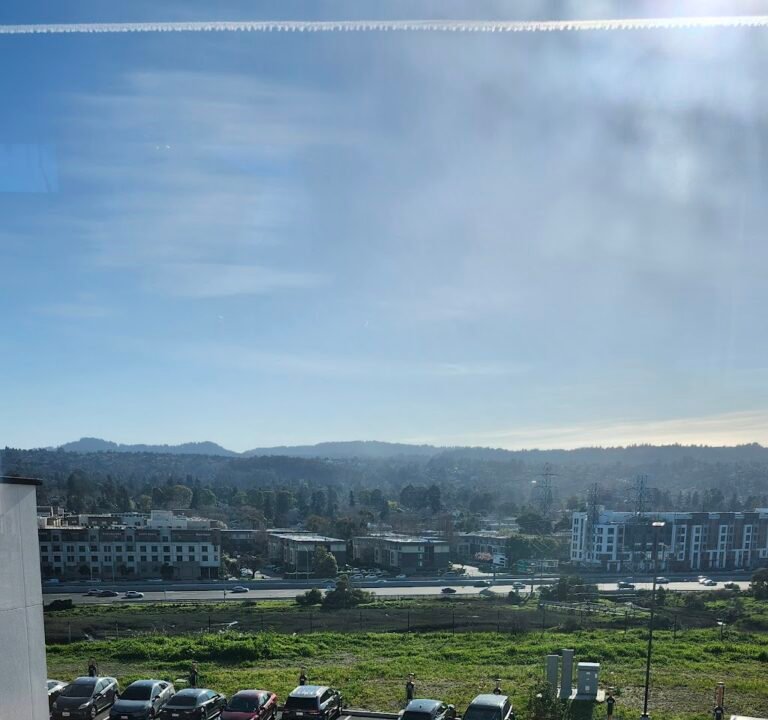 Soccer Field image 3