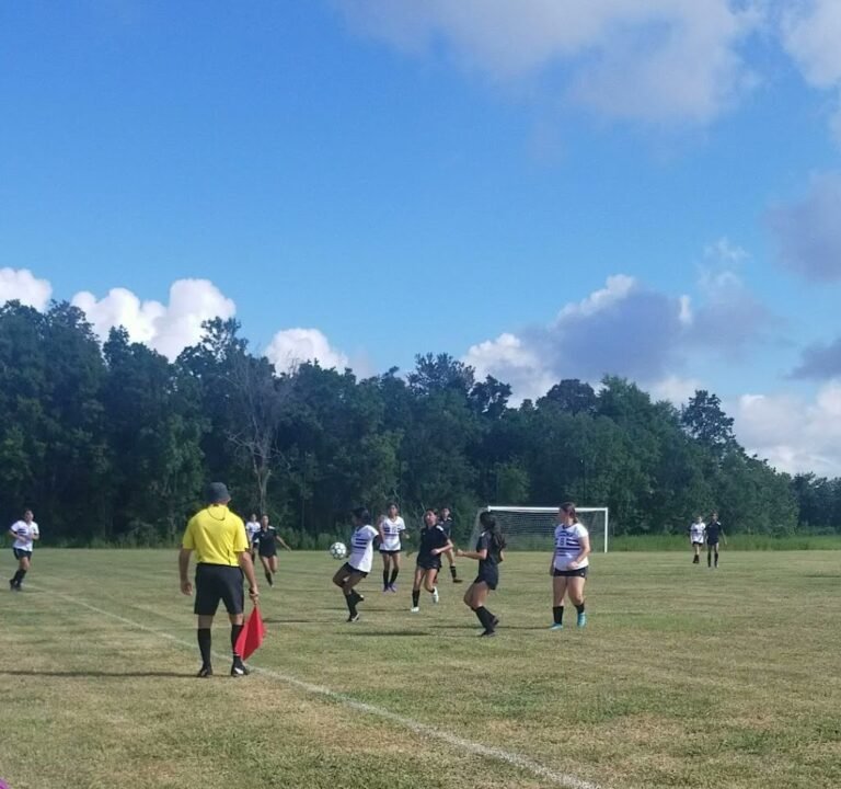 Soccer Field image 4