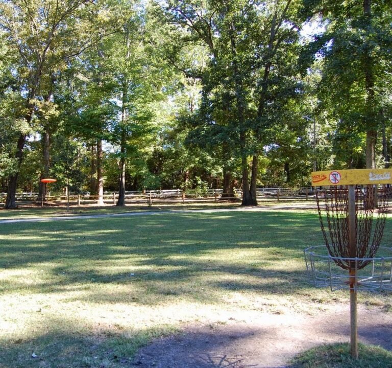 Soccer Field image 2