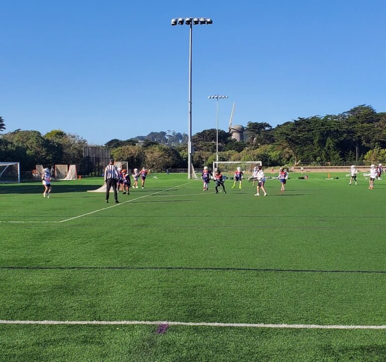 Soccer Field image 3