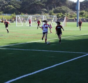 Soccer Field image 2