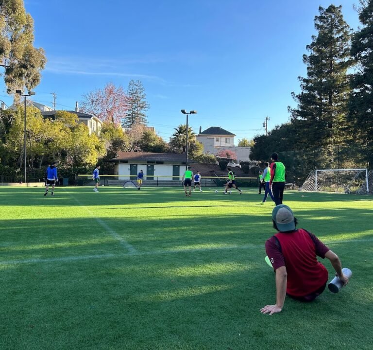 Soccer Field image 2