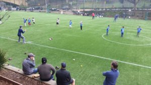 Soccer Field image 1