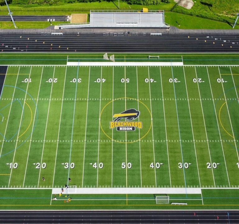 Soccer Field image 3