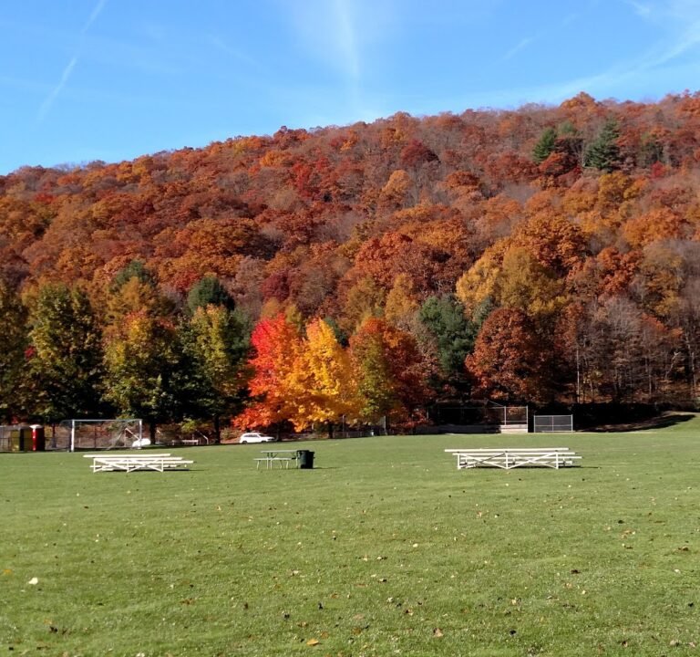 Soccer Field Featured Image