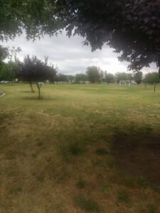Soccer Field image 1