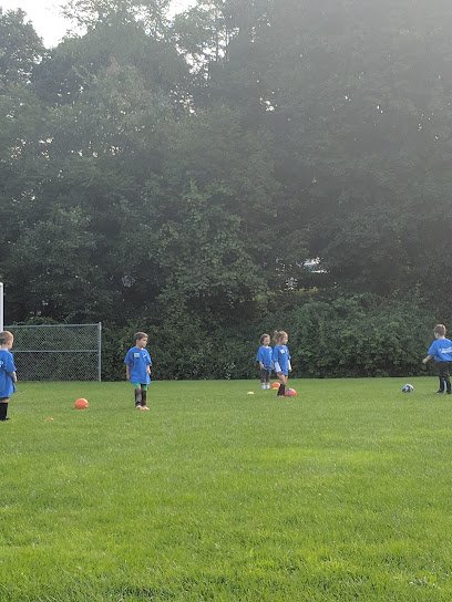 Soccer Field image 1