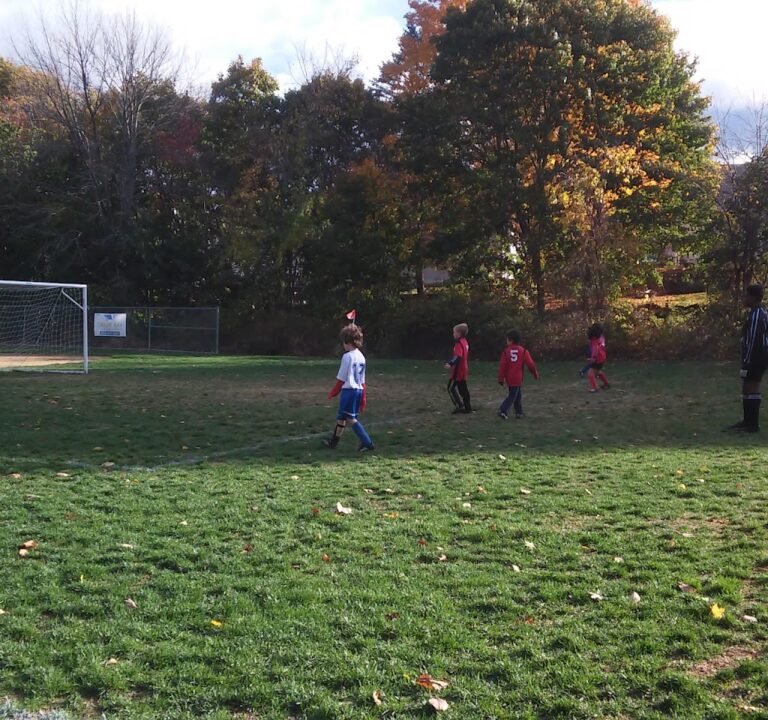 Soccer Field image 2