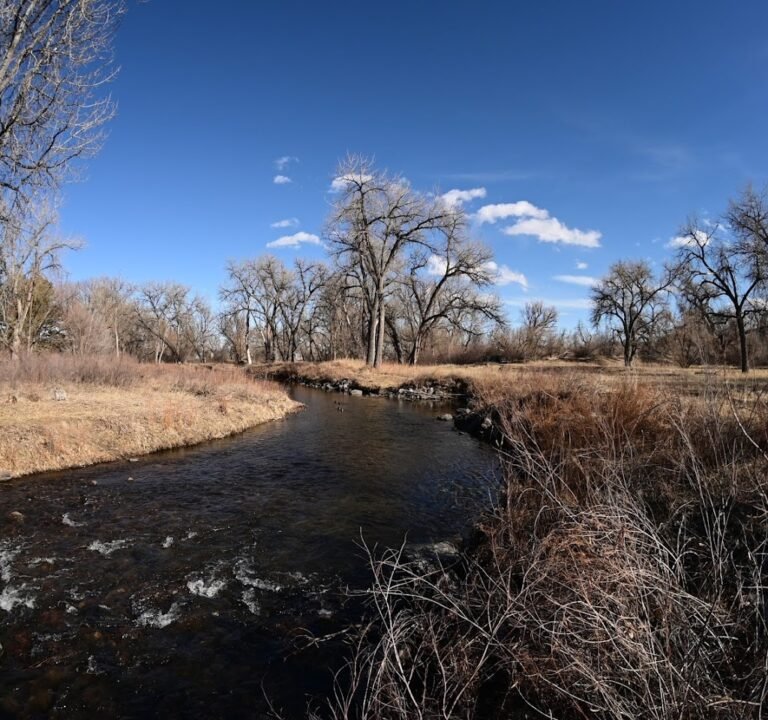 Soccer Field image 2