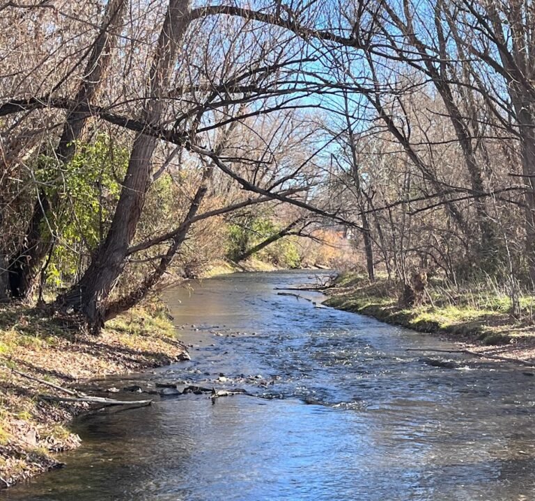 Soccer Field image 2
