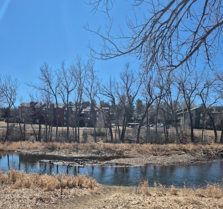Soccer Field image 3