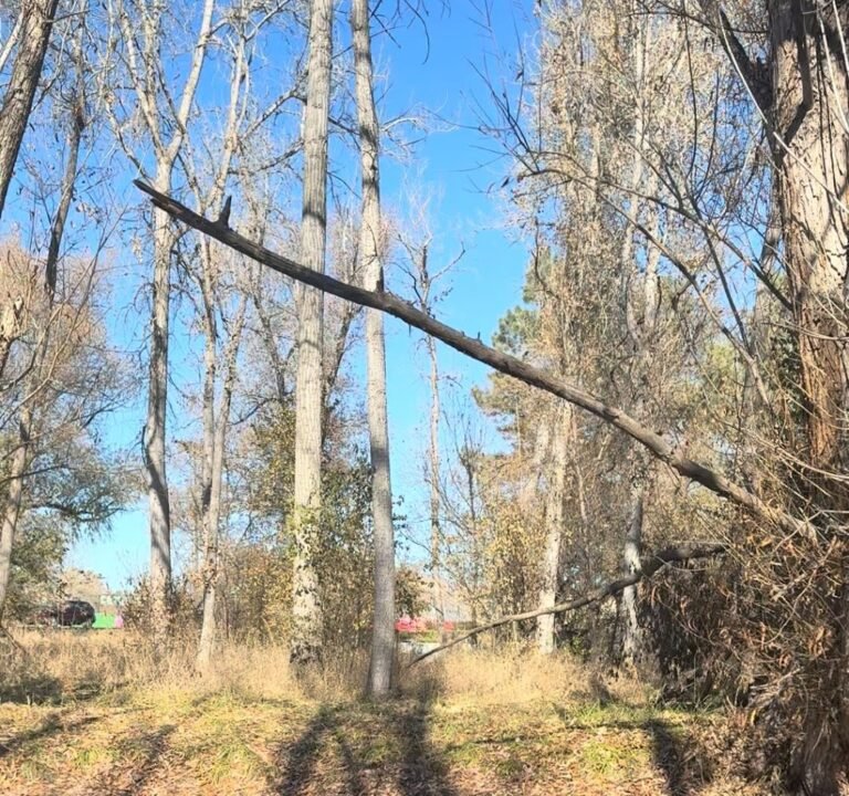 Soccer Field image 4