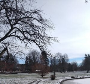Soccer Field image 2