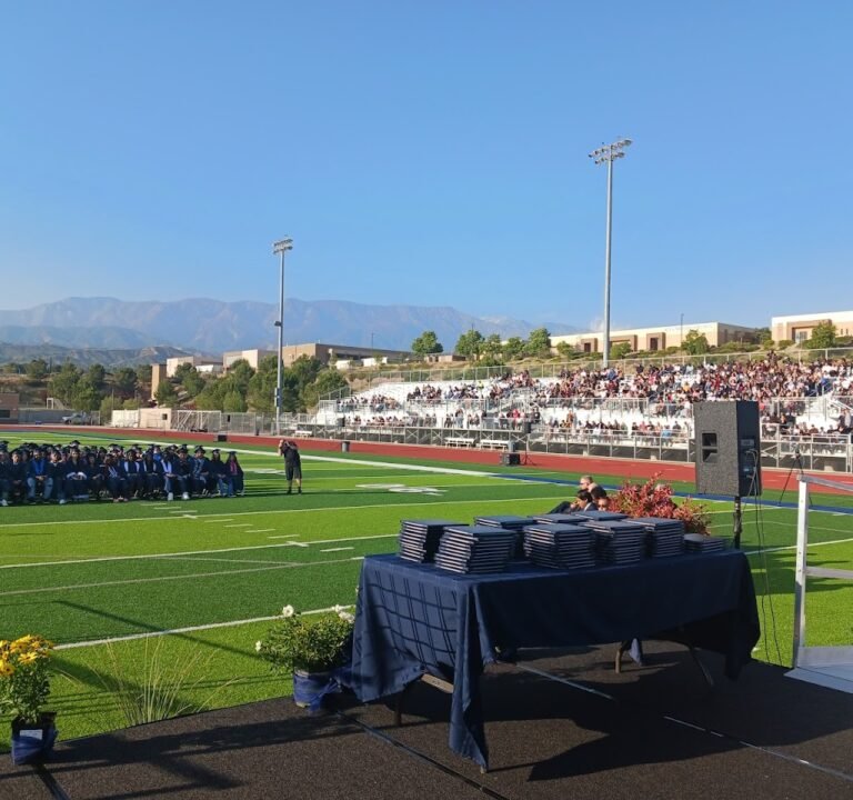 Soccer Field image 2