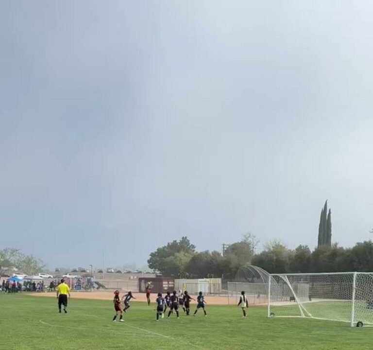 Soccer Field image 4