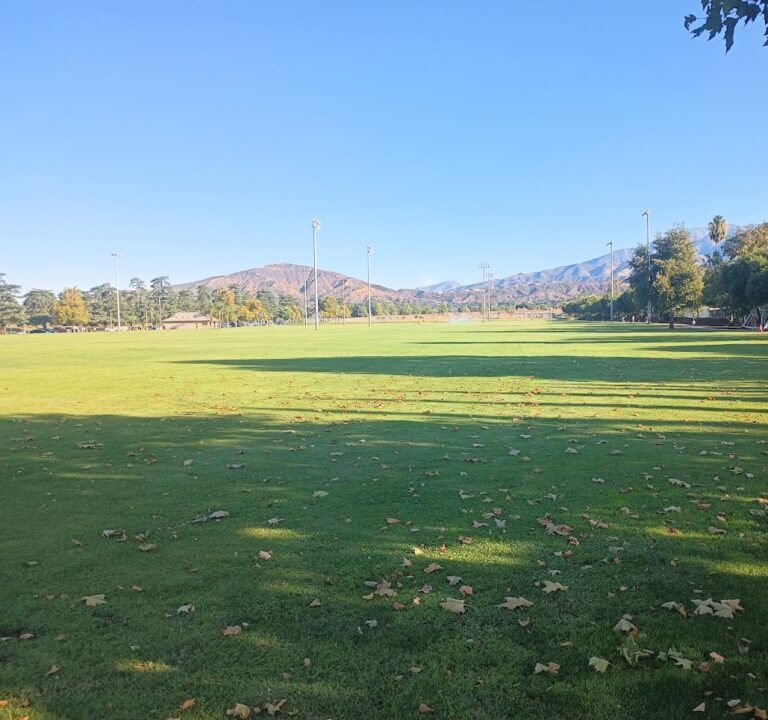 Soccer Field image 2