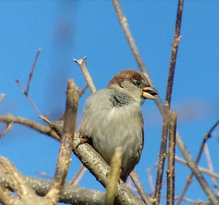 Soccer Field image 2