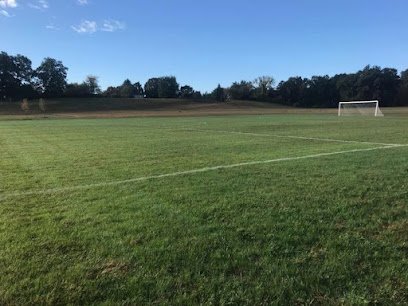 Soccer Field image 1