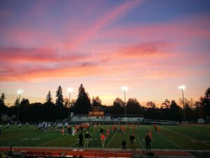 Soccer Field image 1