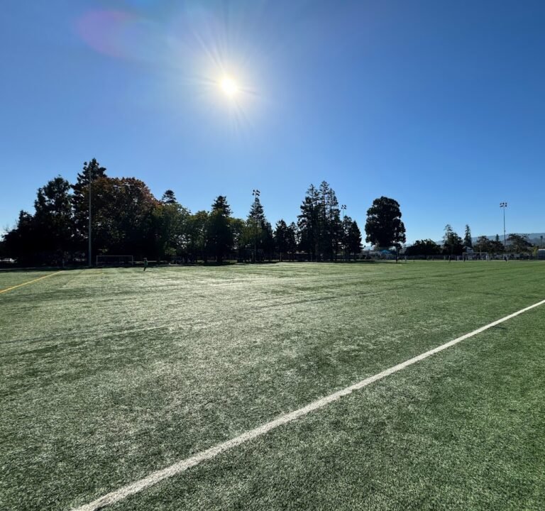 Soccer Field image 2