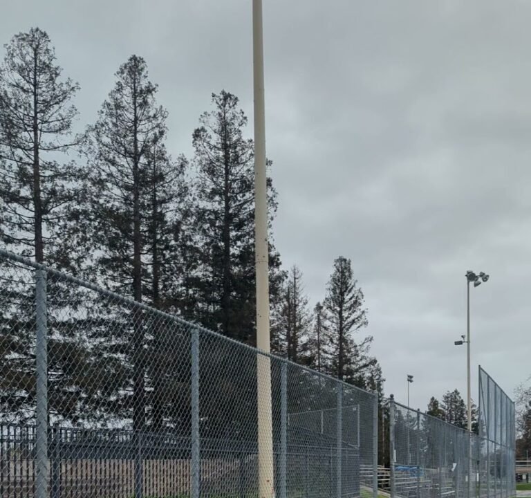 Soccer Field image 3