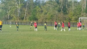 Soccer Field image 1
