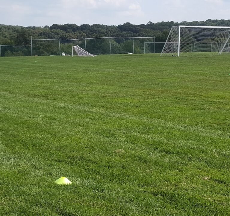 Soccer Field image 3