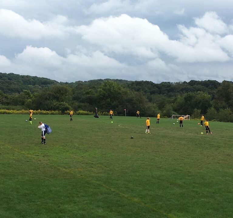 Soccer Field image 2