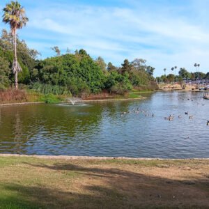 Soccer Field image 1
