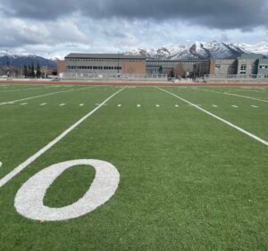 Soccer Field image 2