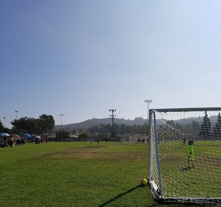 Soccer Field image 2