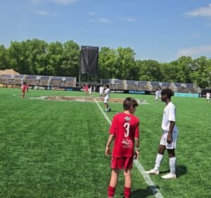 Soccer Field image 3