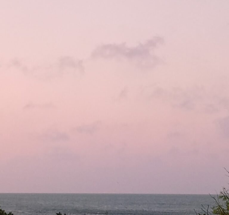 Soccer Field image 3