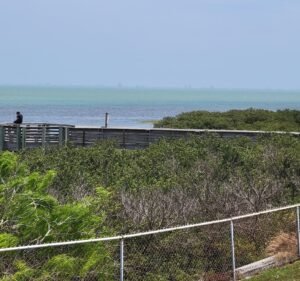 Soccer Field image 2