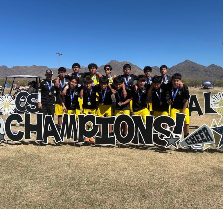 Soccer Field image 3