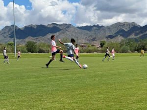 Soccer Field image 1