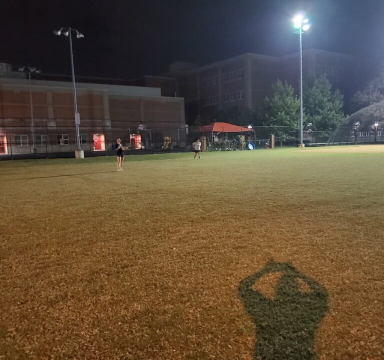 Soccer Field image 2