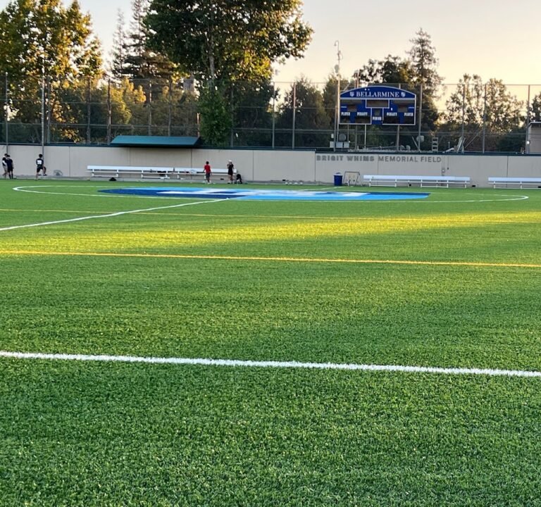 Soccer Field image 3