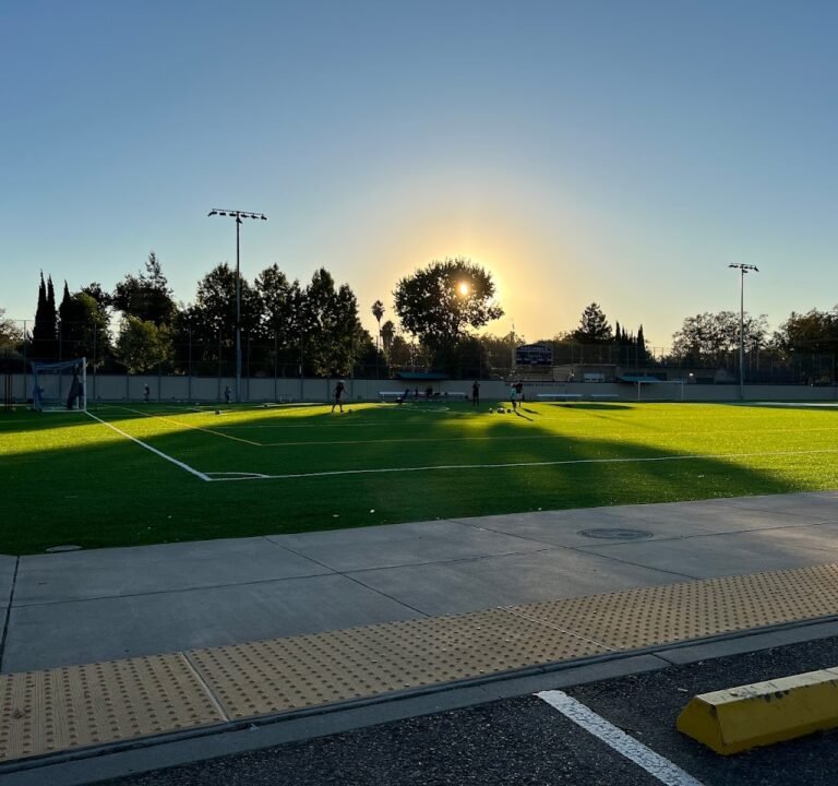 Soccer Field image 2