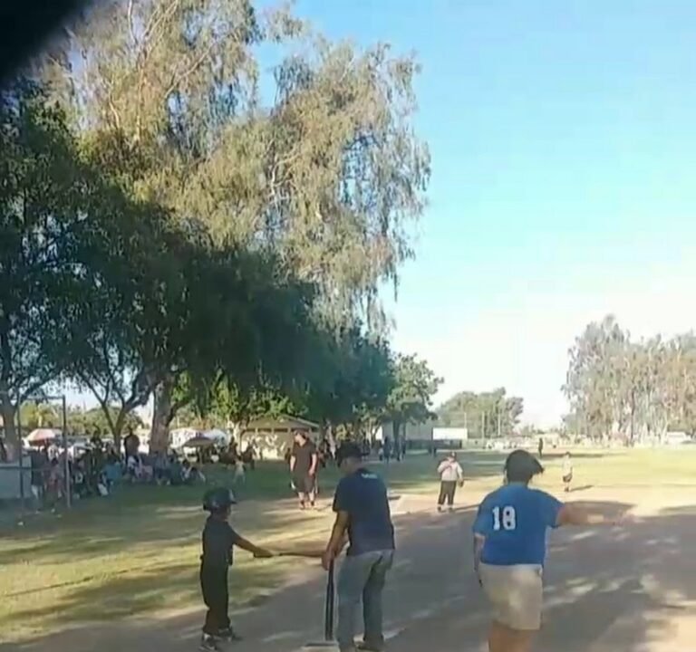 Soccer Field image 4