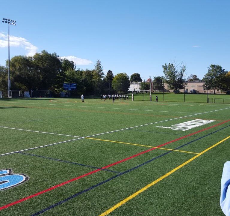 Soccer Field image 2