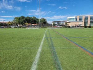 Soccer Field image 1