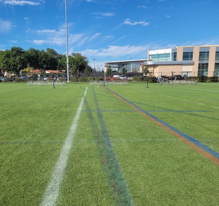 Soccer Field image 2