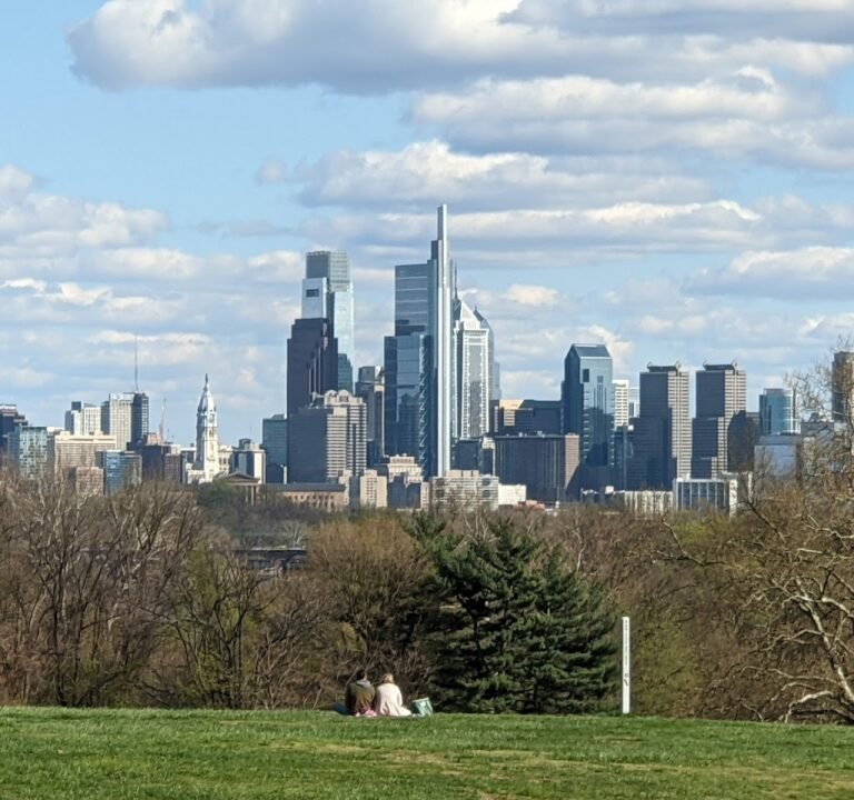 Soccer Field image 2