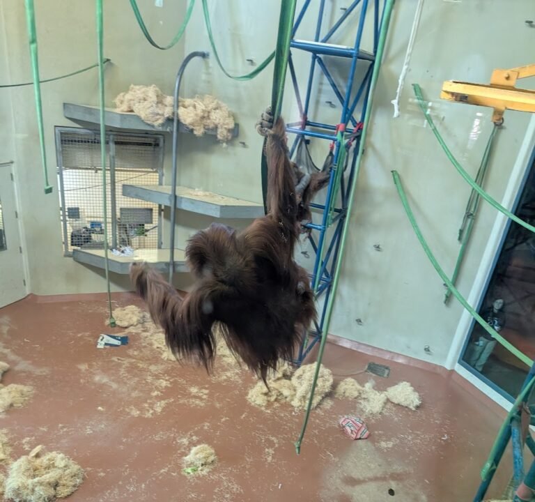 Soccer Field image 3