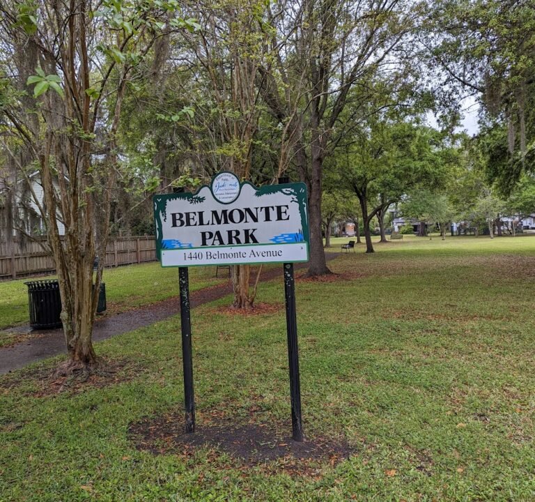 Soccer Field image 3